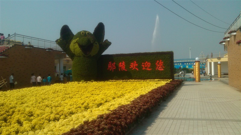 19 850 鄢陵花木基地位于北方最大的花木种植基地河南省许昌市鄢陵县.