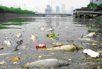 污水和其他废弃物进入江河湖海等水体,超过水体自净能力所造成的污染