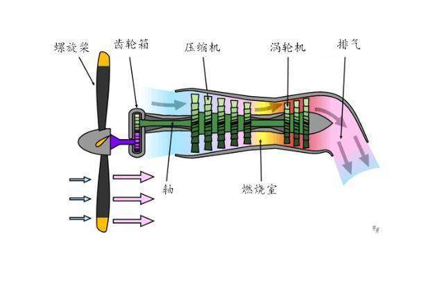 也可以说涡桨发动机就是大涵道比的涡扇发动机.只是
