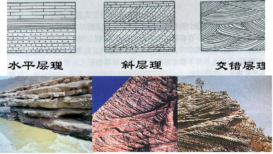 1m   h ≤ 0.5m ), 薄层( 0.01m   h ≤ 0.1m ),微层(页片理)(0.