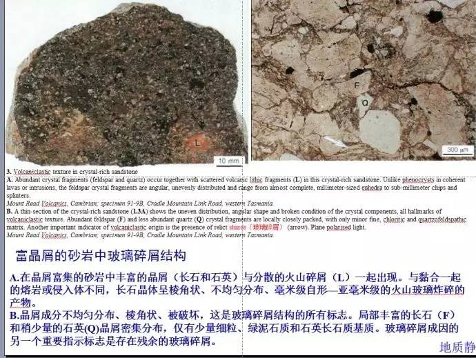 国外刊物发表的火山碎屑岩图版