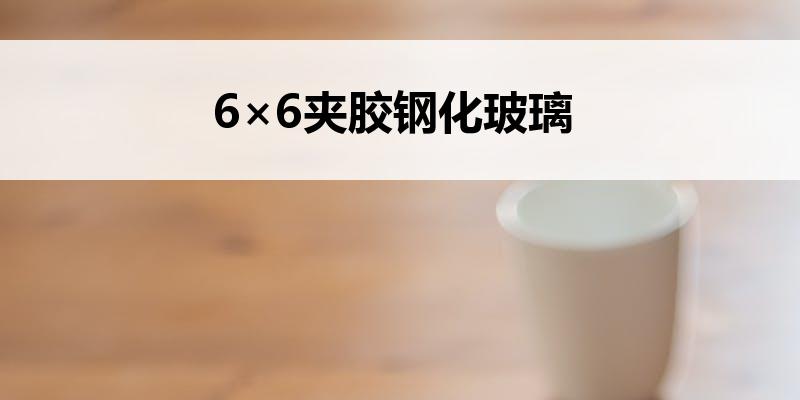 6×6<font color='red'>夹胶钢化玻璃</font>
