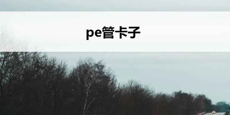 pe管<font color='red'>卡子</font>