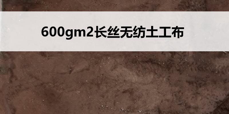 600gm2<font color='red'>长丝无纺土工布</font>