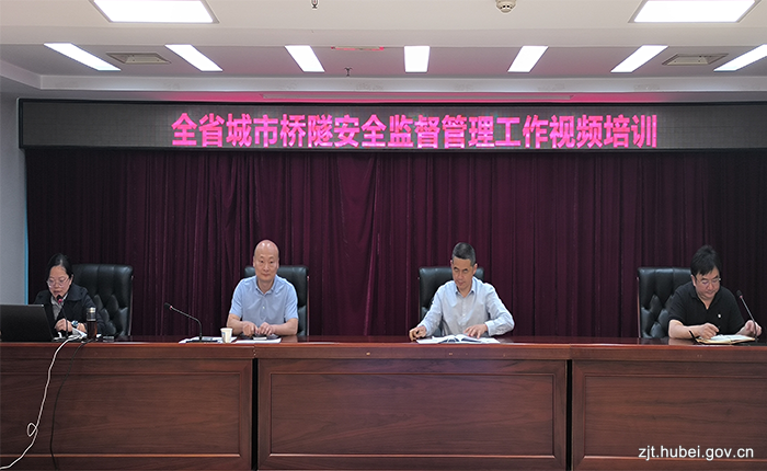 湖北省城市桥隧安全管理暨自动监测培训开展