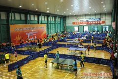 [广西]全区住建系统干部职工乒乓球比赛在南宁举行