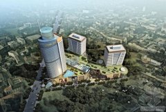 中国承建 老挝第一高楼建筑主体结构完工