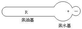 两<font color='red'>性表面活性剂</font>