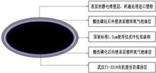 金旗舰主管道横刨面示意图