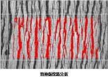 特种版纹路分析