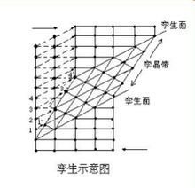 孪生示意图