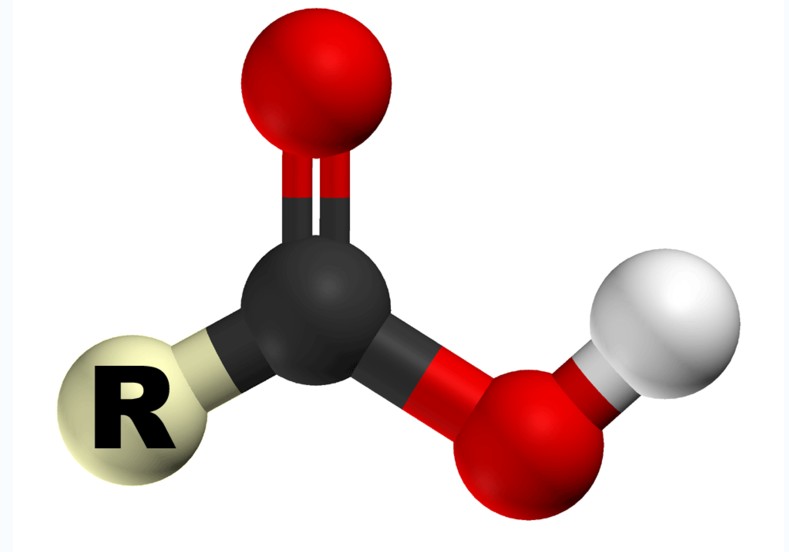 <font color='red'>羧酸</font>