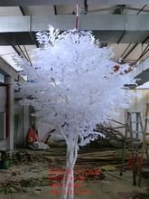 玻璃树图片