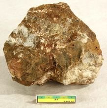 方解石碳酸岩(图3)