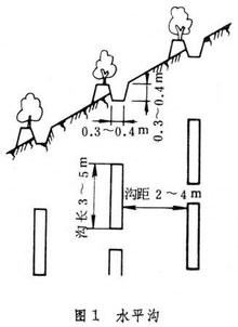 <font color='red'>山坡</font>水土保持工程正文