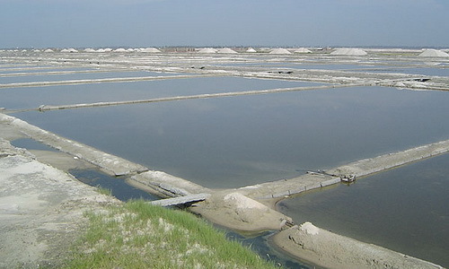 布袋盐场地图图片