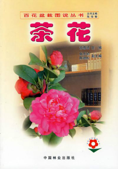 茶<font color='red'>花</font>/<font color='red'>百花</font>盆栽图说