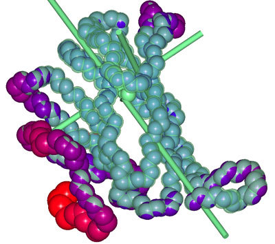 <font color='red'>高分子</font>氢化