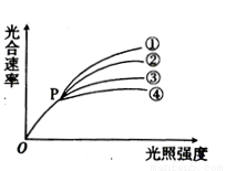 光斑<font color='red'>偏移</font>实验