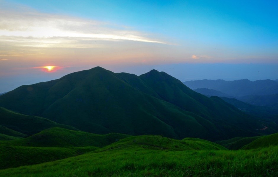 高山草甸土