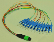 MPO光纤跳线图片