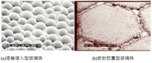图21显微镜下的透镜埋入型和密封胶囊型结构