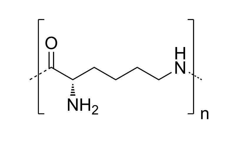 <font color='red'>多聚赖氨酸</font>