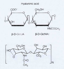 透明质酸结构式