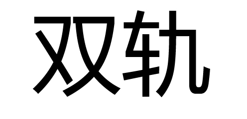 <font color='red'>双轨</font>