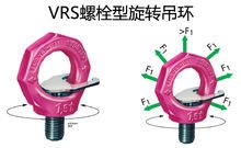 VRS螺栓型吊环图片