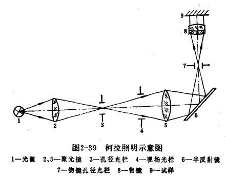 <font color='red'>柯</font>拉照明