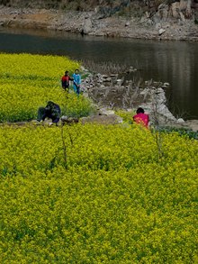 路边黄图片