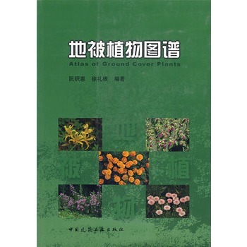 <font color='red'>地被</font>植物图谱