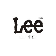 LEE​<font color='red'>基本概述</font>