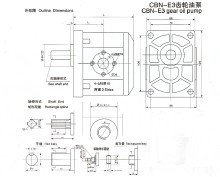 齿轮油泵CBN-E3-01